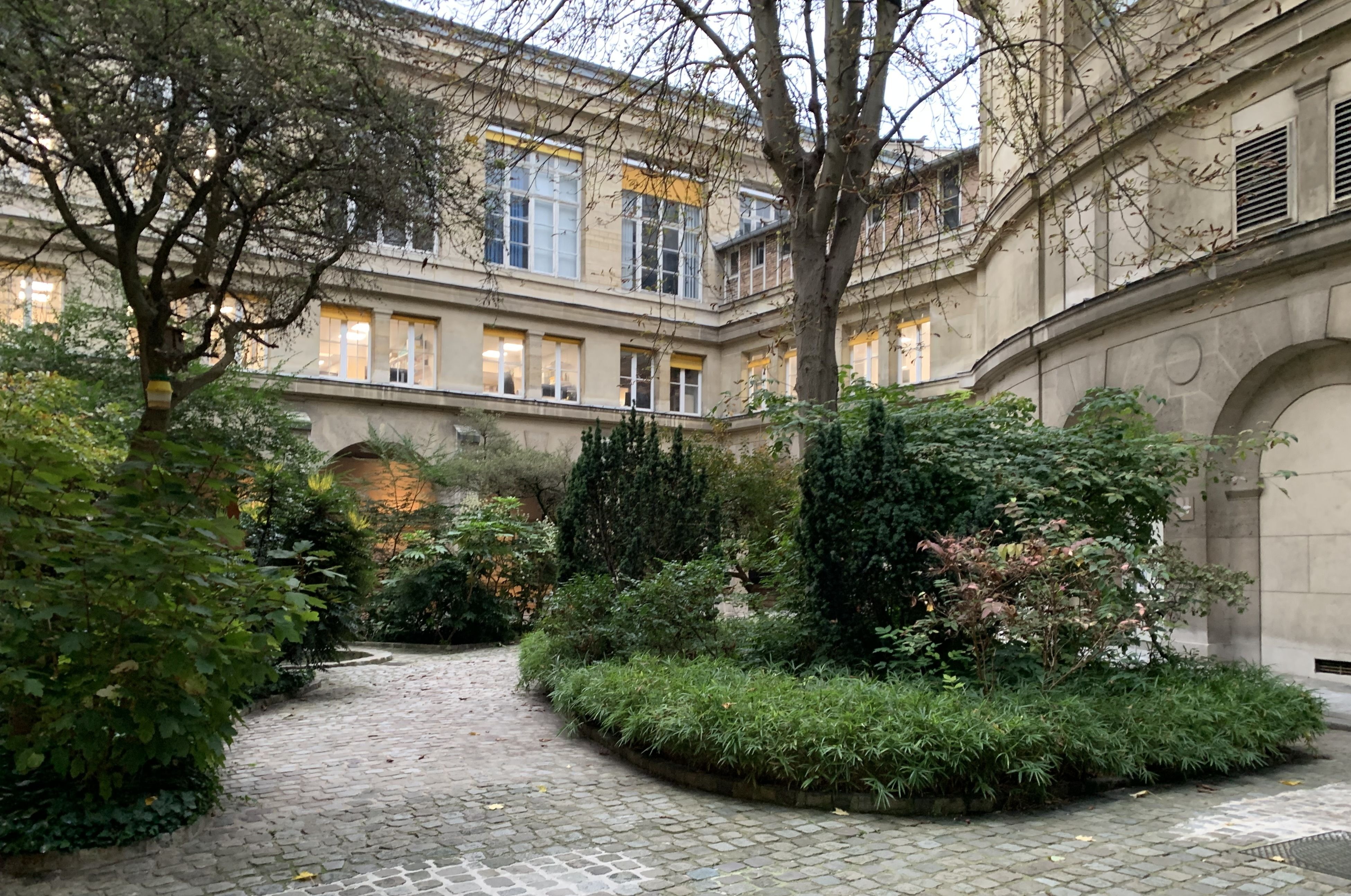 Le jardin des Cordeliers