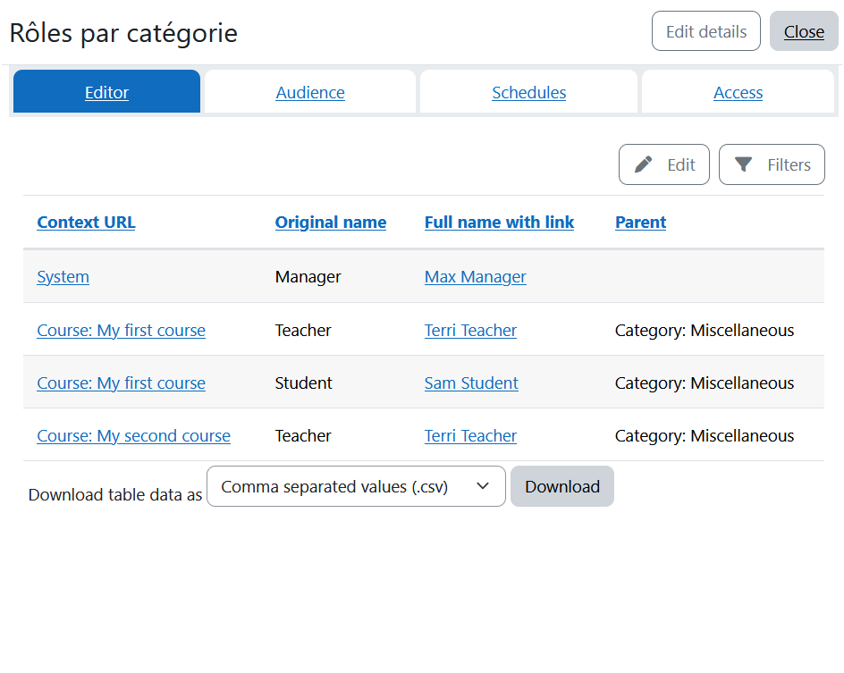 Rapport personnalisé rôles des utilisateur par catégorie (capture)