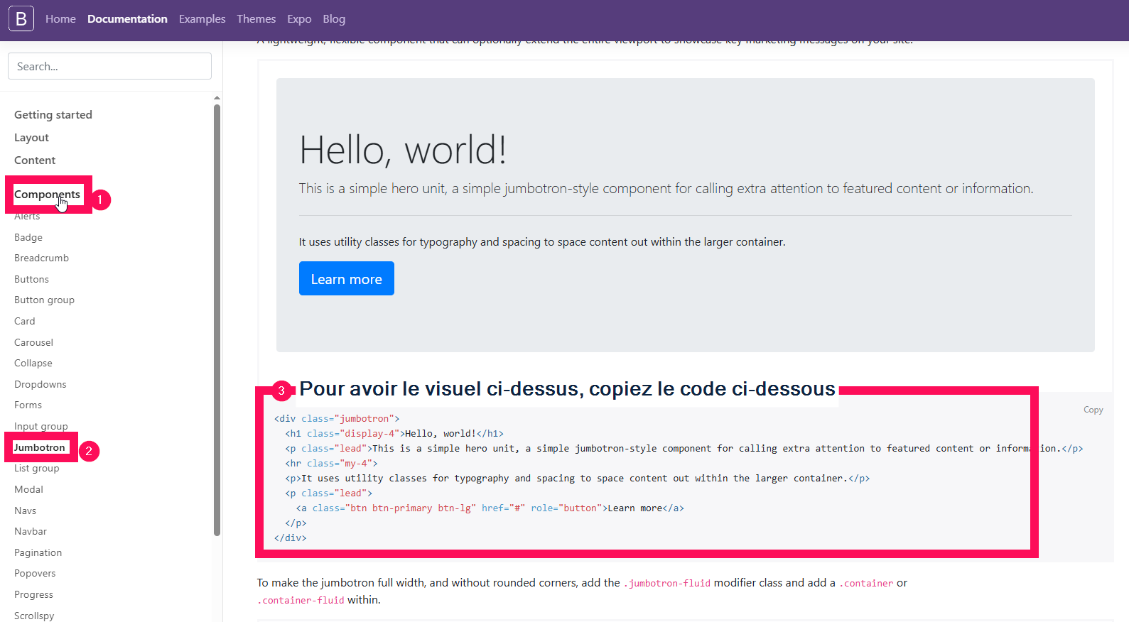 visuel de la page du site proposé en lien. Il montre le menu de gauche et le visuel proposé avec son code HTML à copier.  